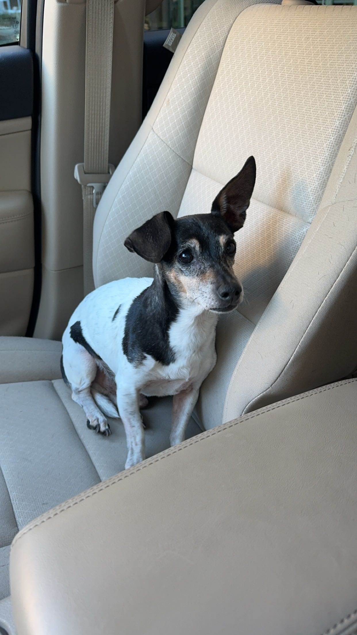 mckinley_1 snapchat image archive image