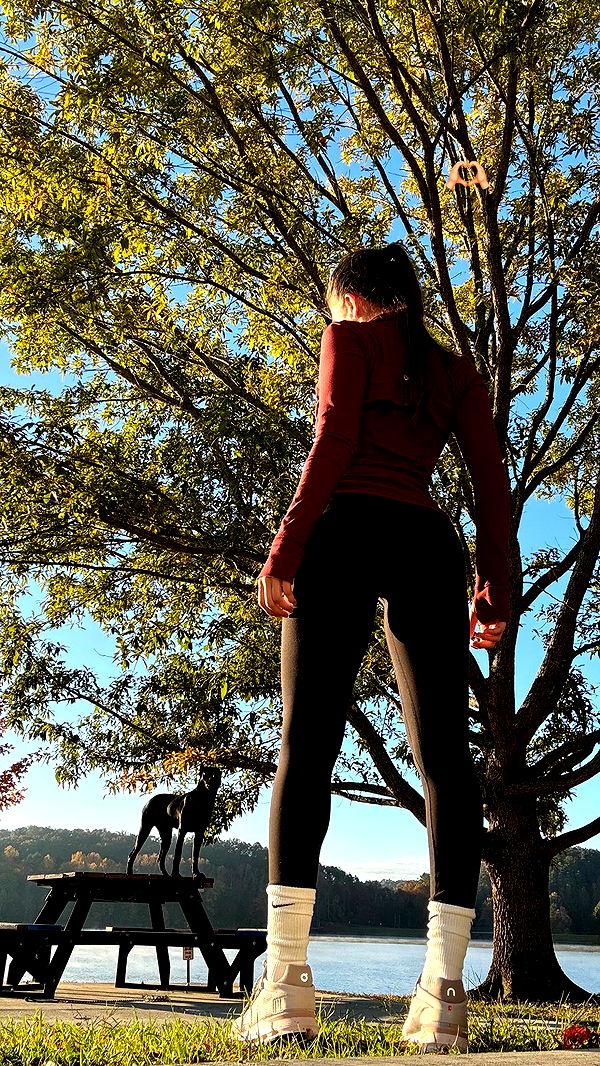 mckinley_1 image ~ Altpins