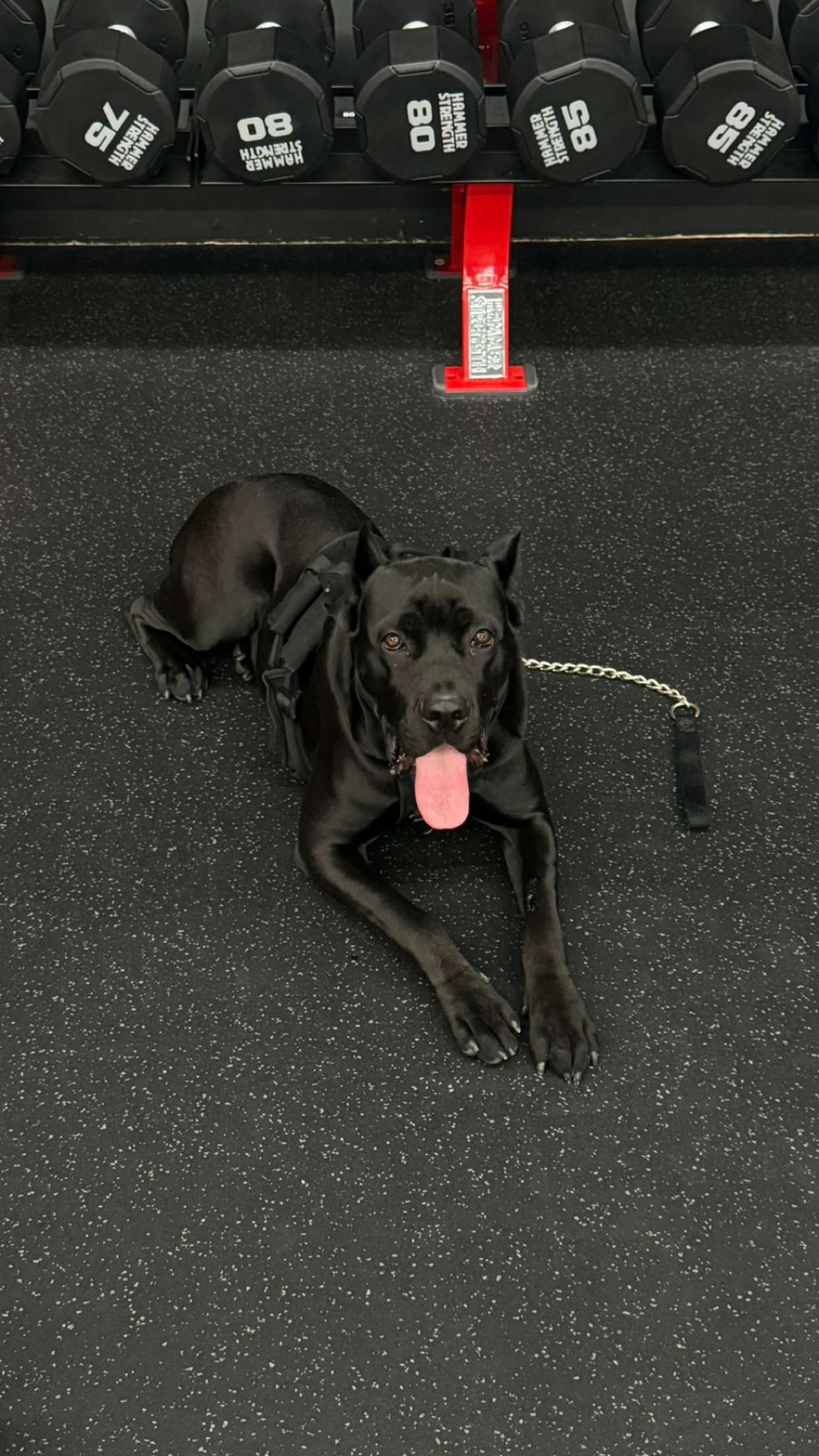 mckinley_1 snapchat image archive image