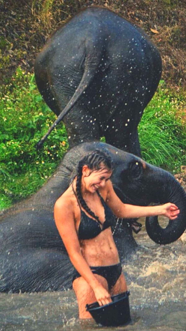 mckinley_1 image ~ Altpins