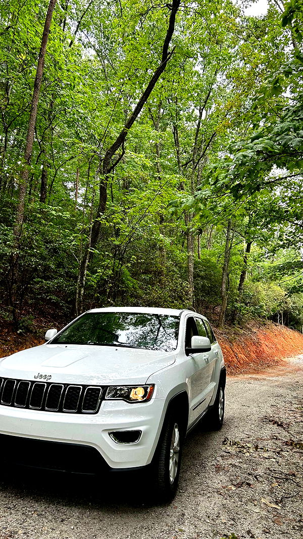 mckinley_1 image ~ Altpins