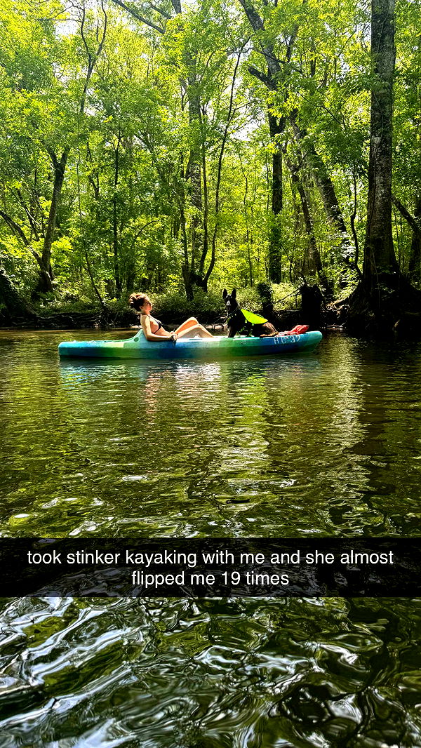 mckinley_1 image ~ Altpins