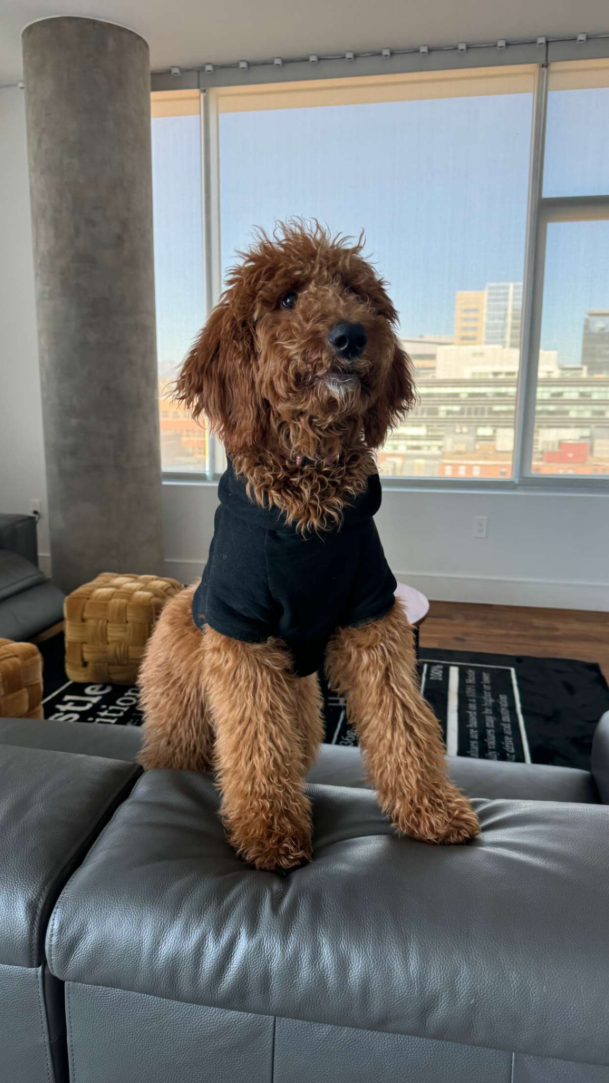 mckinley_1 snapchat image archive image