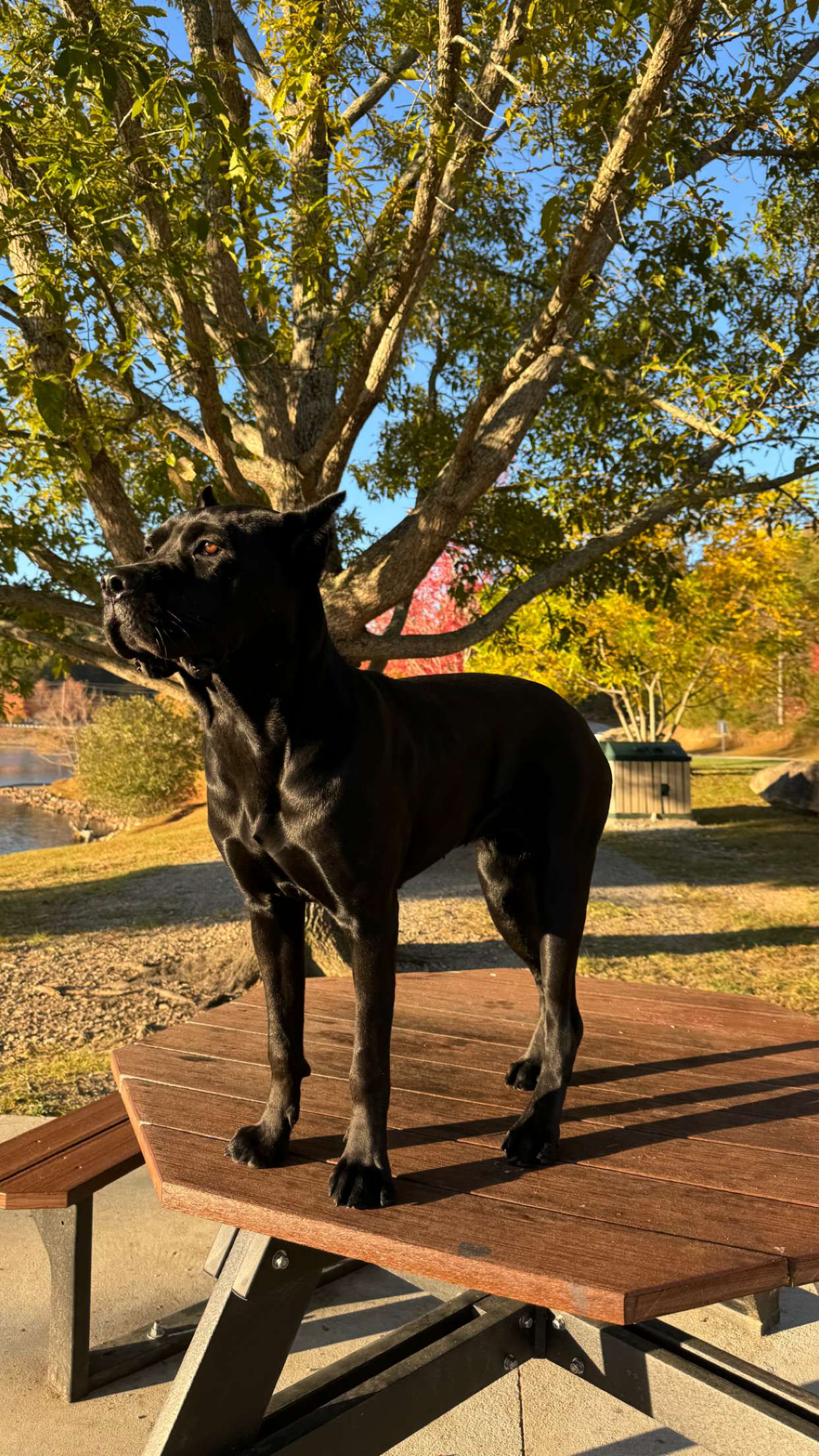 mckinley_1 snapchat image archive image