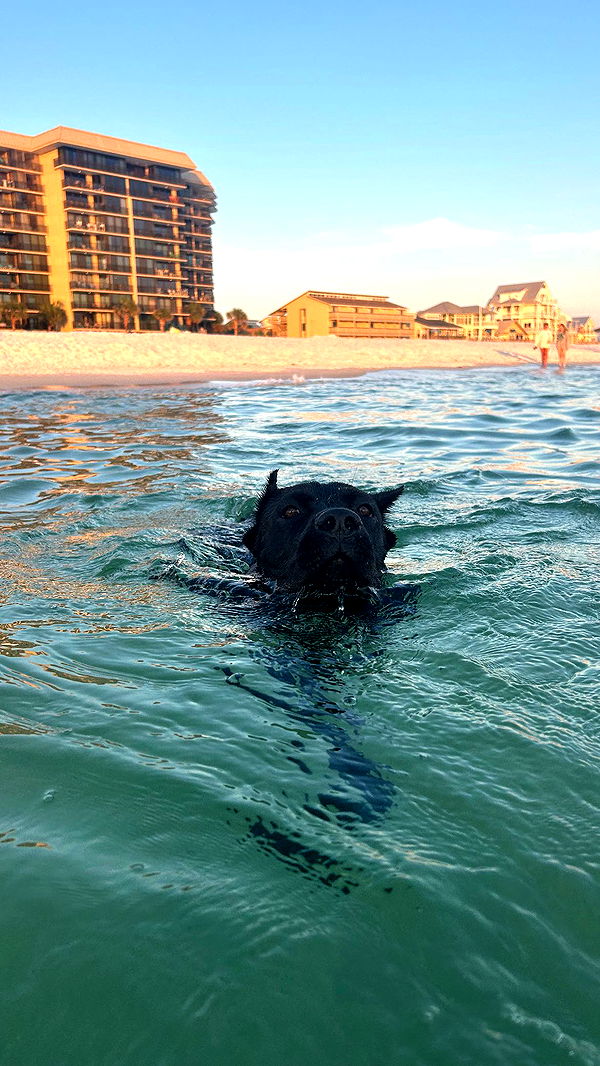 mckinley_1 image ~ Altpins