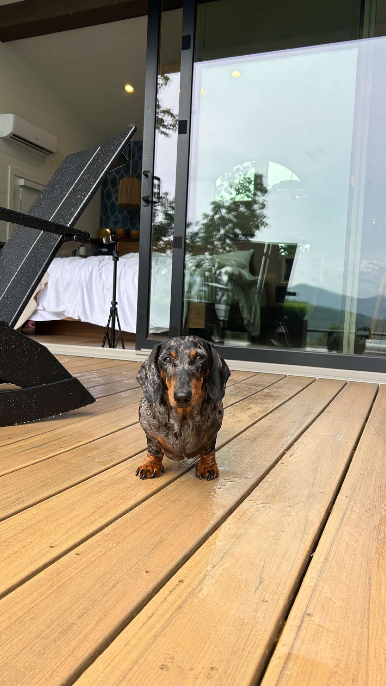 mckinley_1 snapchat image archive image