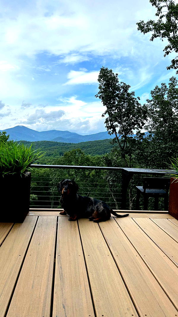 mckinley_1 image ~ Altpins