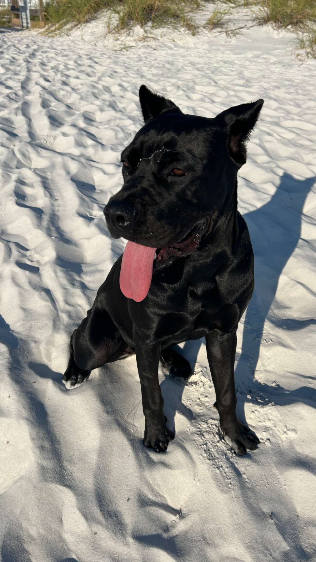 mckinley_1 snapchat image archive image