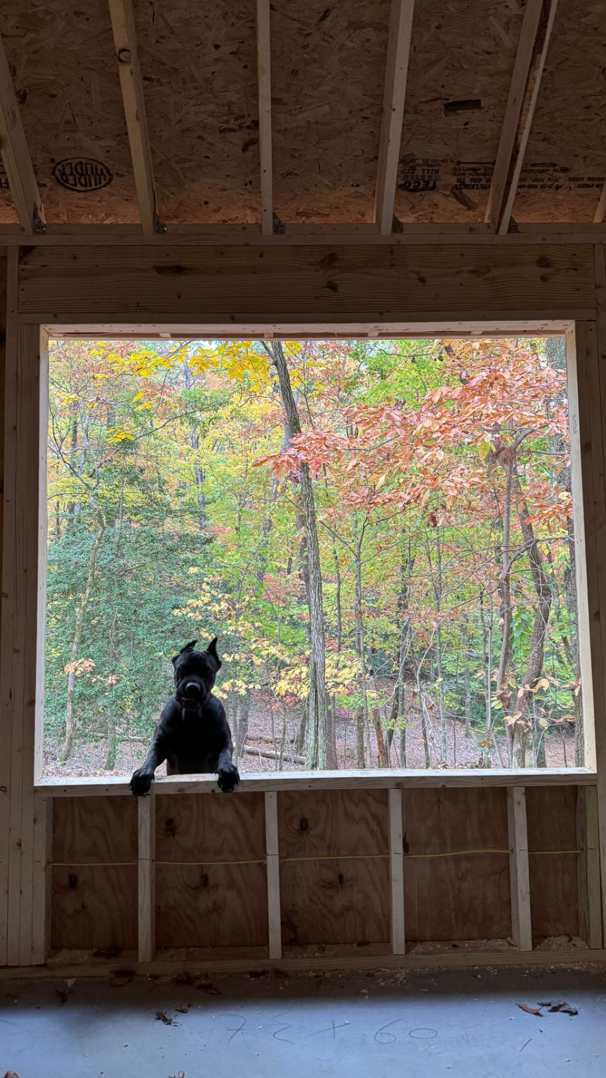 mckinley_1 snapchat image archive image