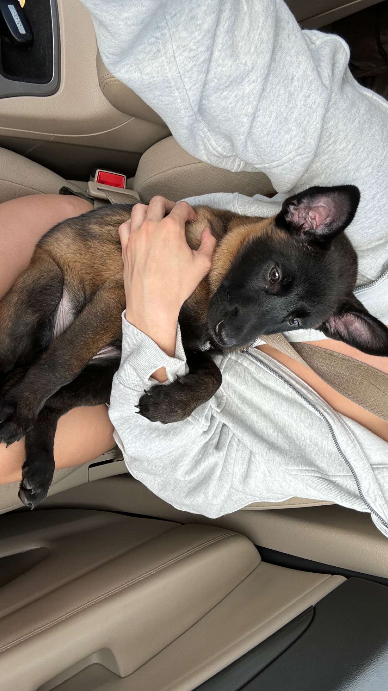 mckinley_1 snapchat image archive image