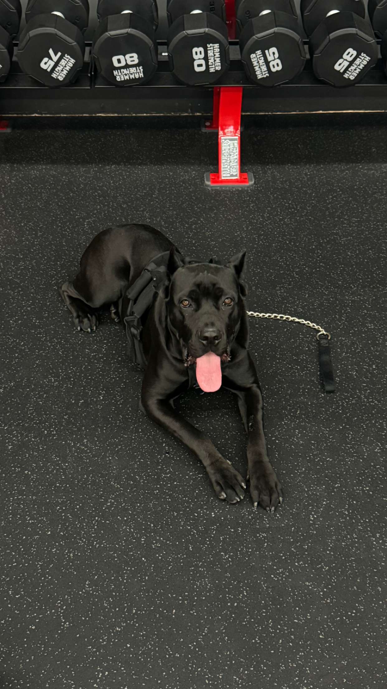 mckinley_1 snapchat image archive image