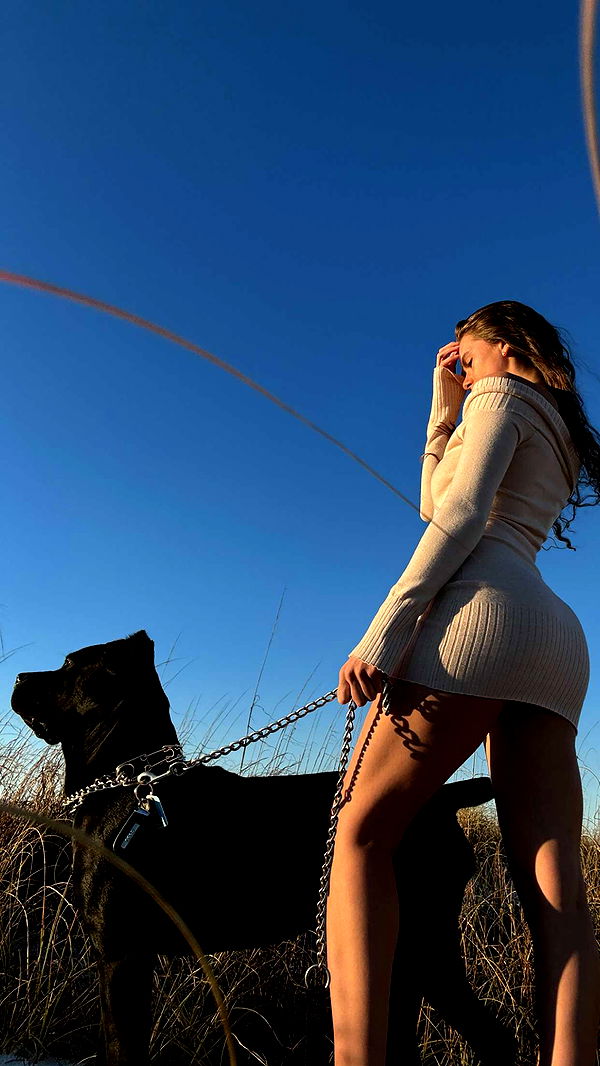 mckinley_1 image ~ Altpins