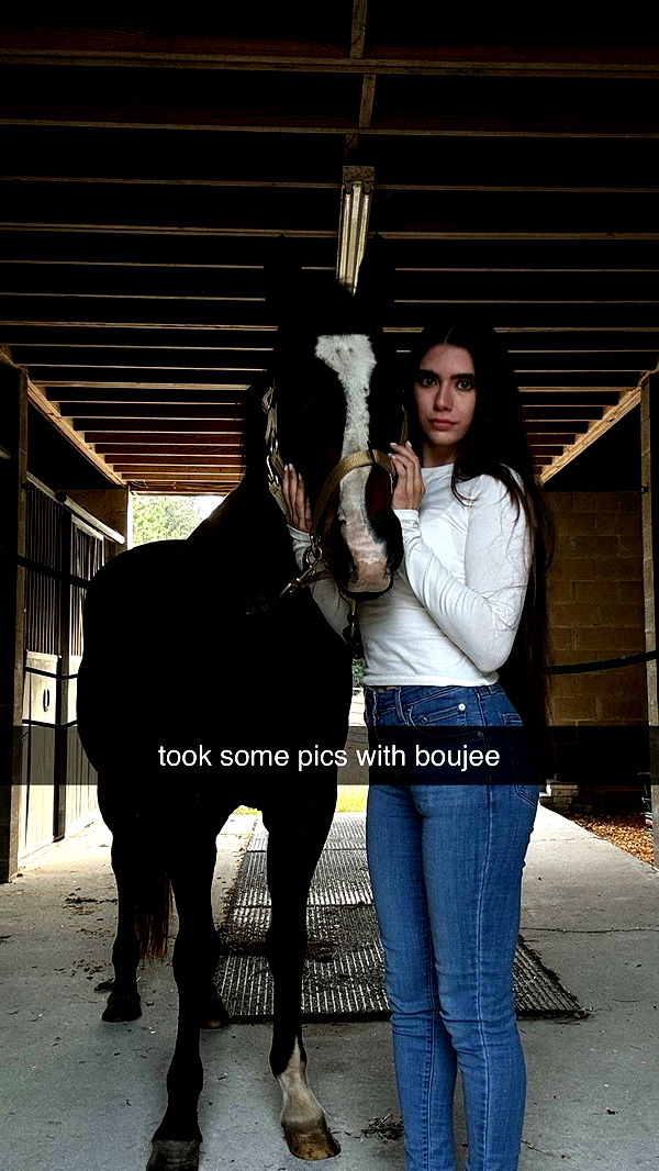 mckinley_1 image ~ Altpins