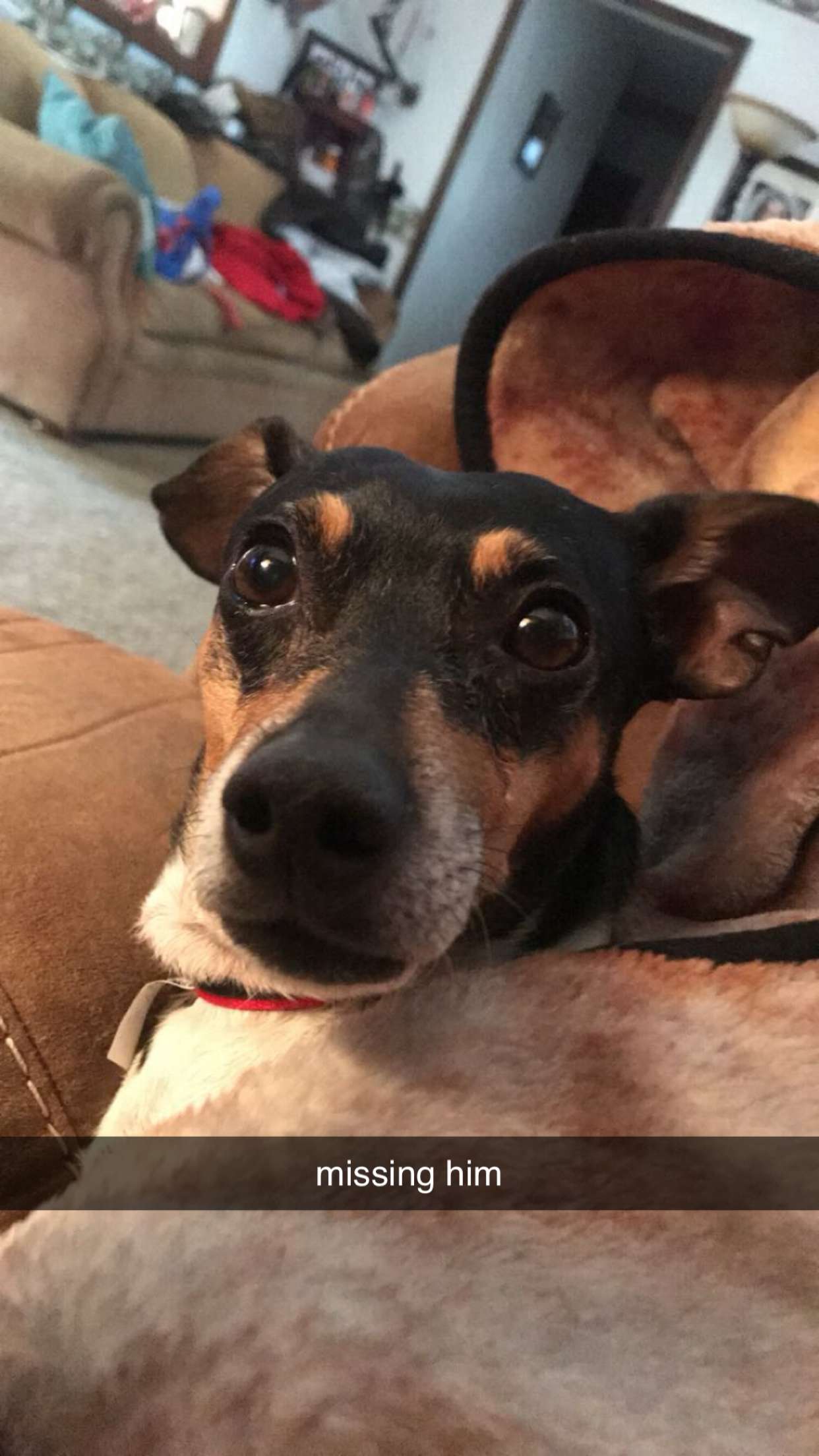 mckinley_1 snapchat image archive image