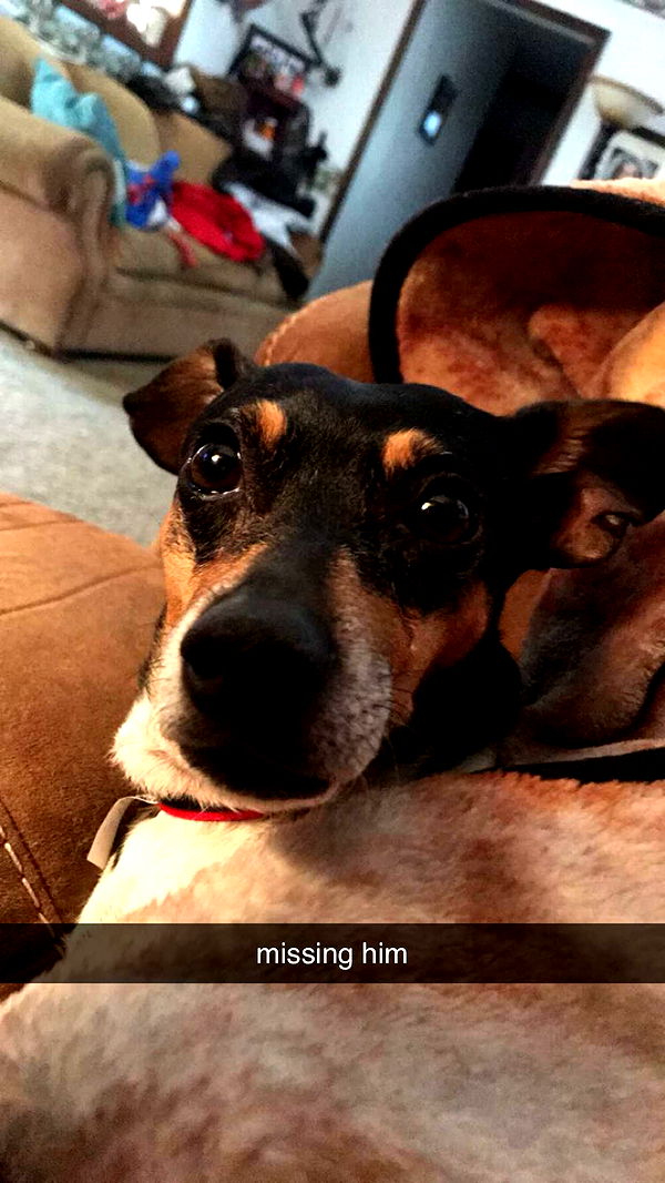 mckinley_1 image ~ Altpins