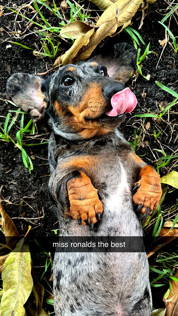 mckinley_1 image ~ Altpins