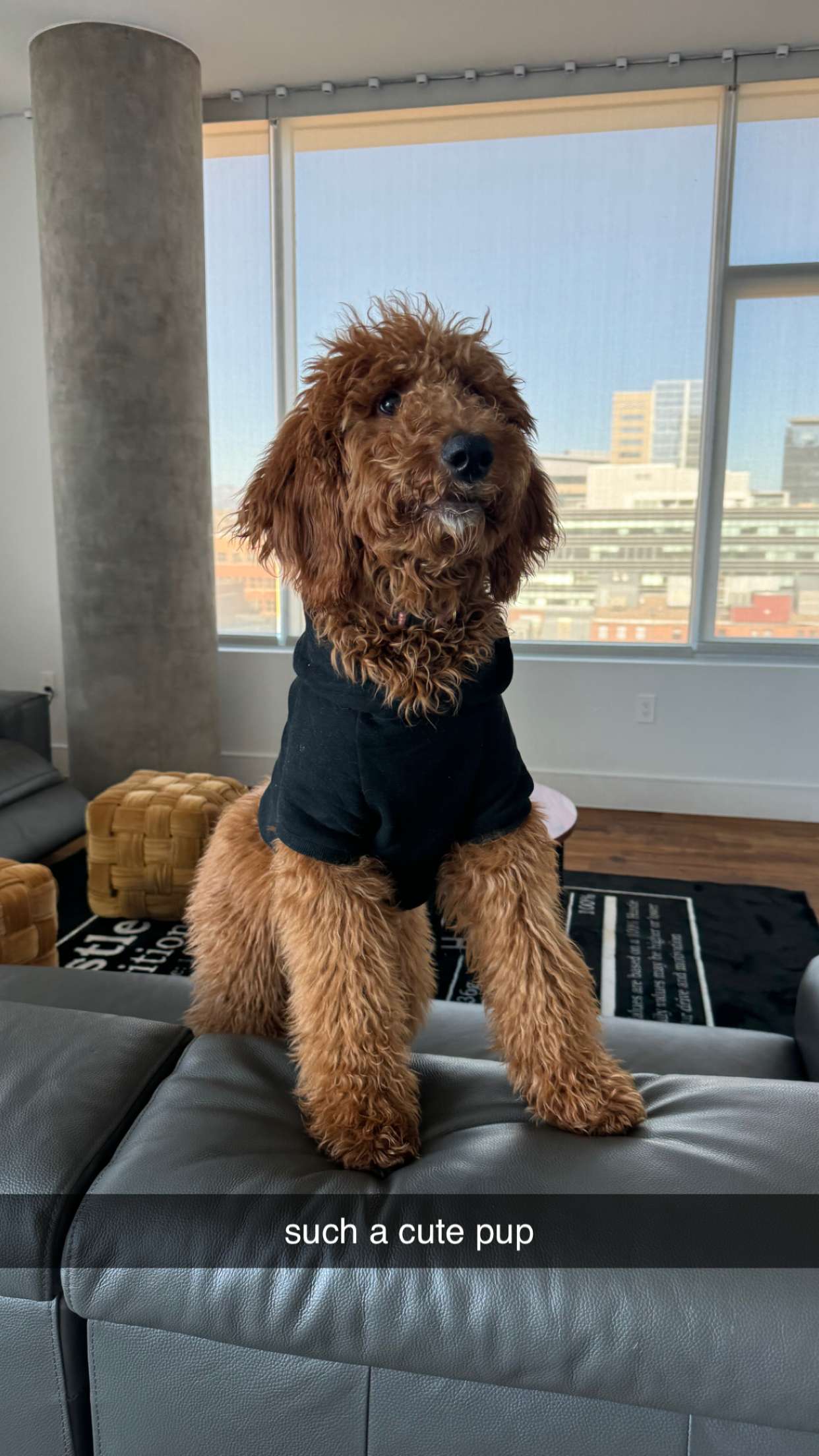 mckinley_1 snapchat image archive image