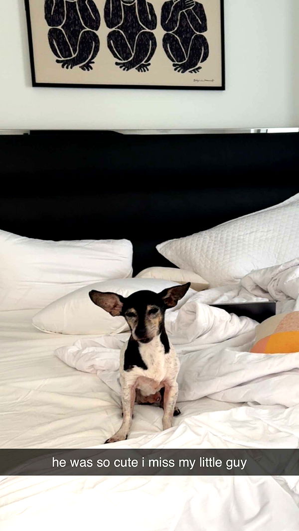 mckinley_1 image ~ Altpins