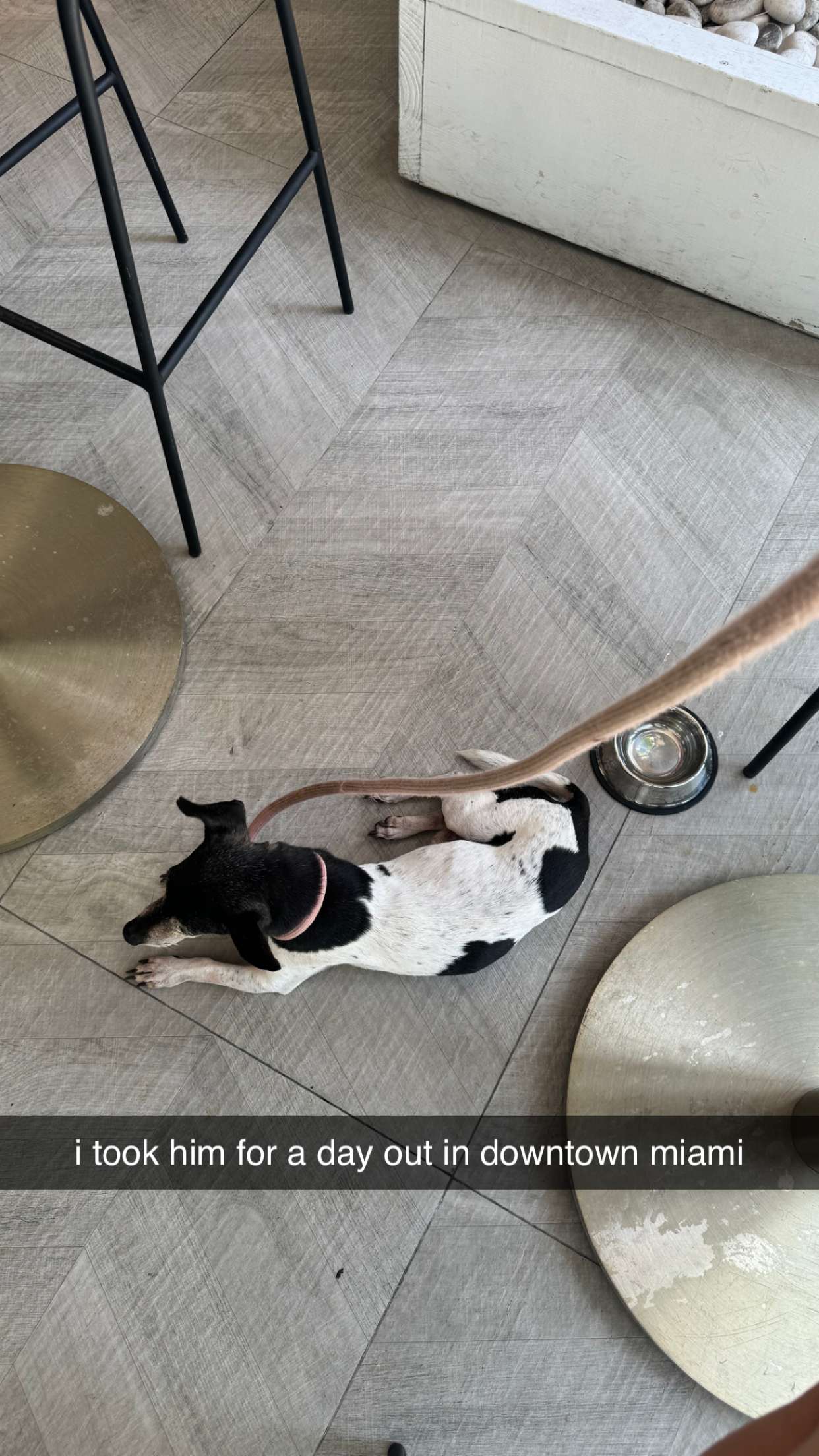 mckinley_1 snapchat image archive image