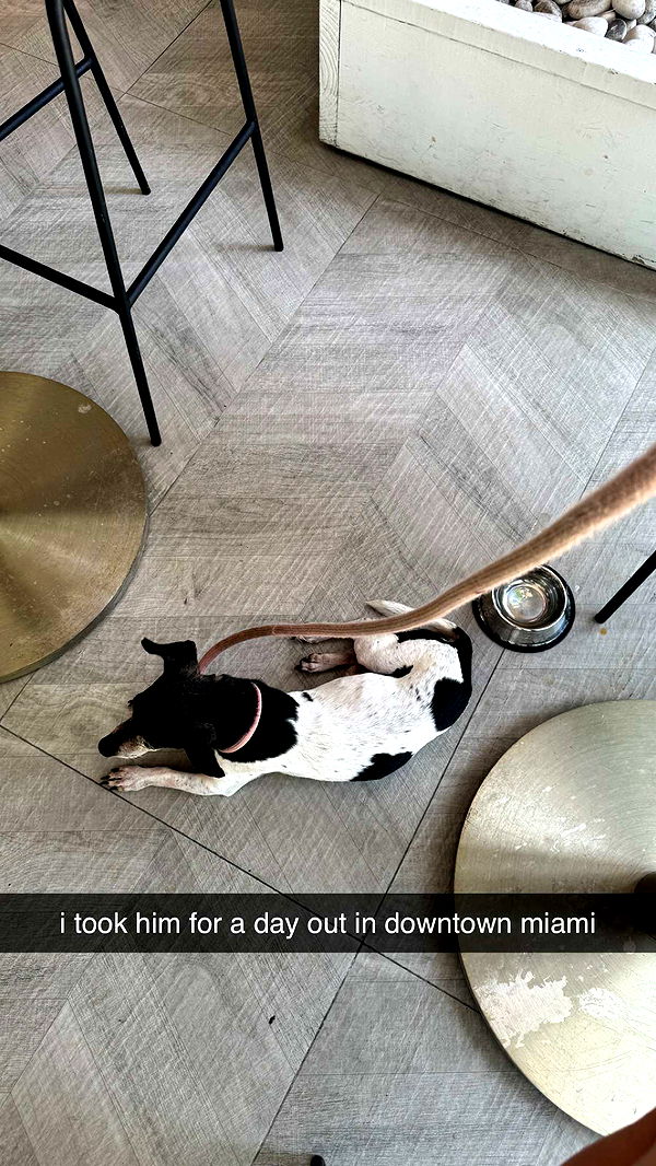 mckinley_1 image ~ Altpins