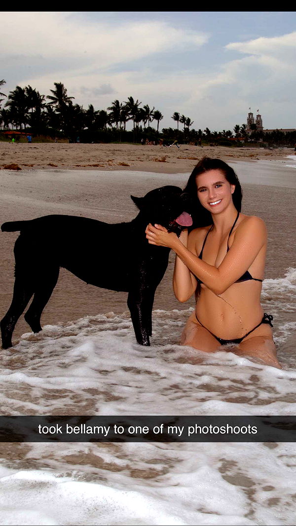 mckinley_1 image ~ Altpins