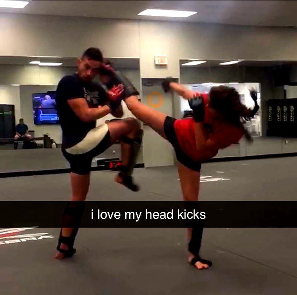 mckinley_1 image ~ Altpins