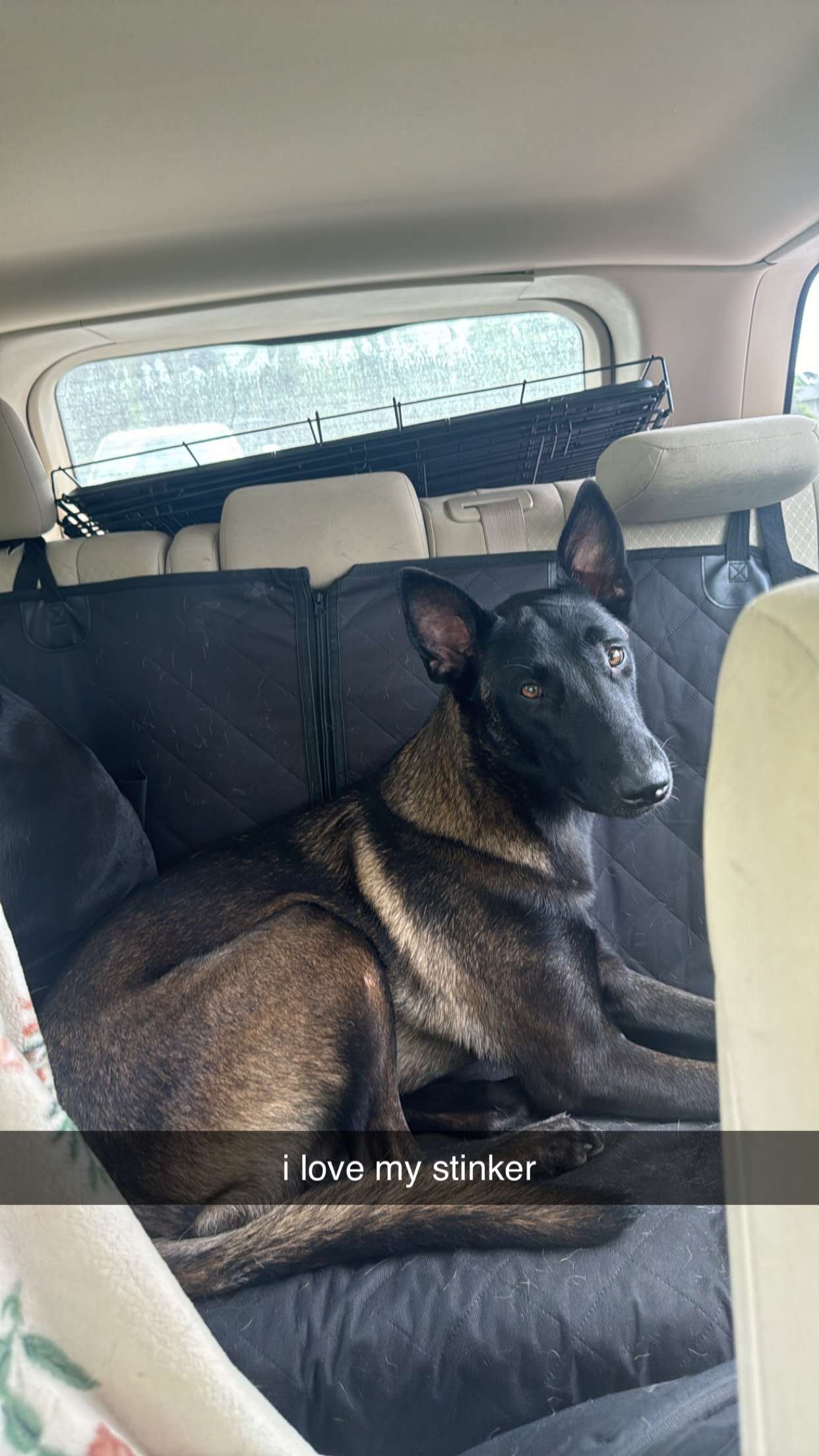 mckinley_1 snapchat image archive image