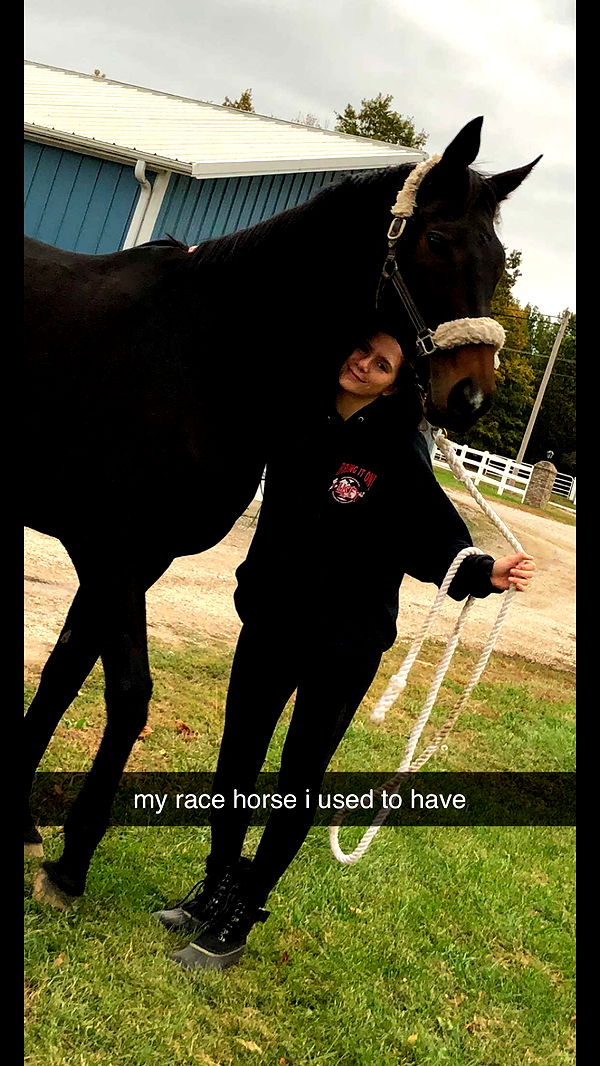 mckinley_1 image ~ Altpins