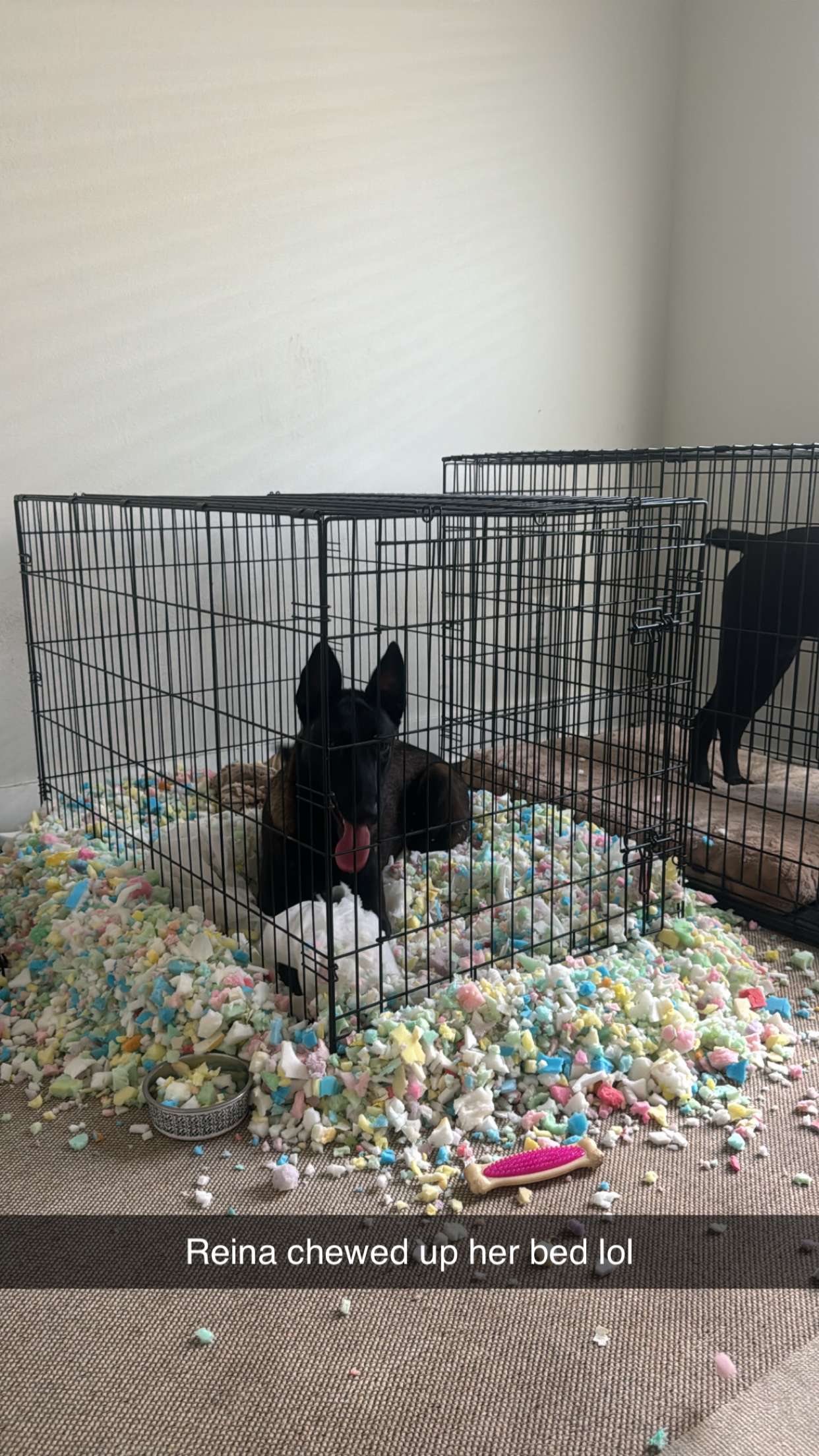 mckinley_1 snapchat image archive image