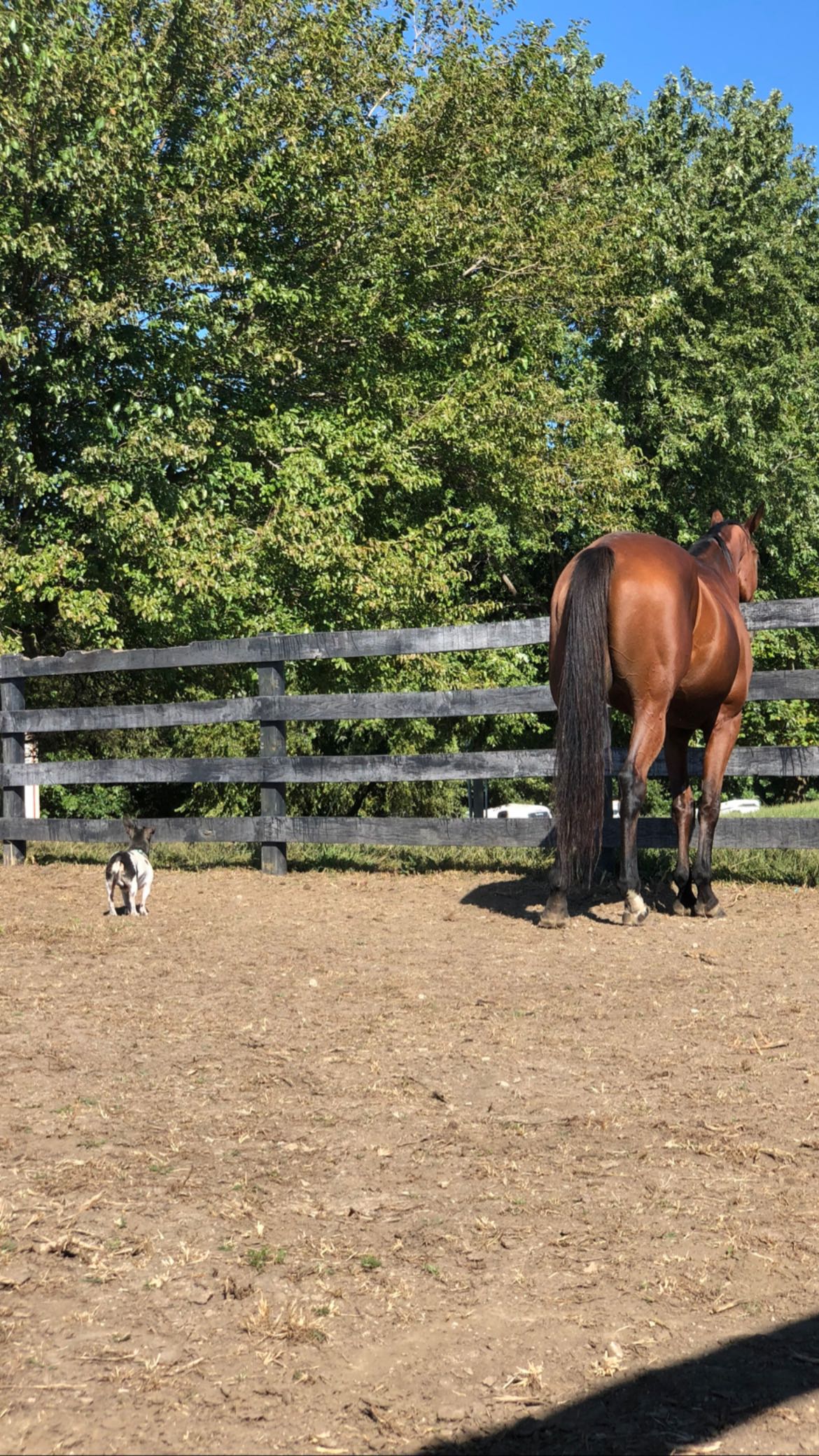 mckinley_1 snapchat image archive image