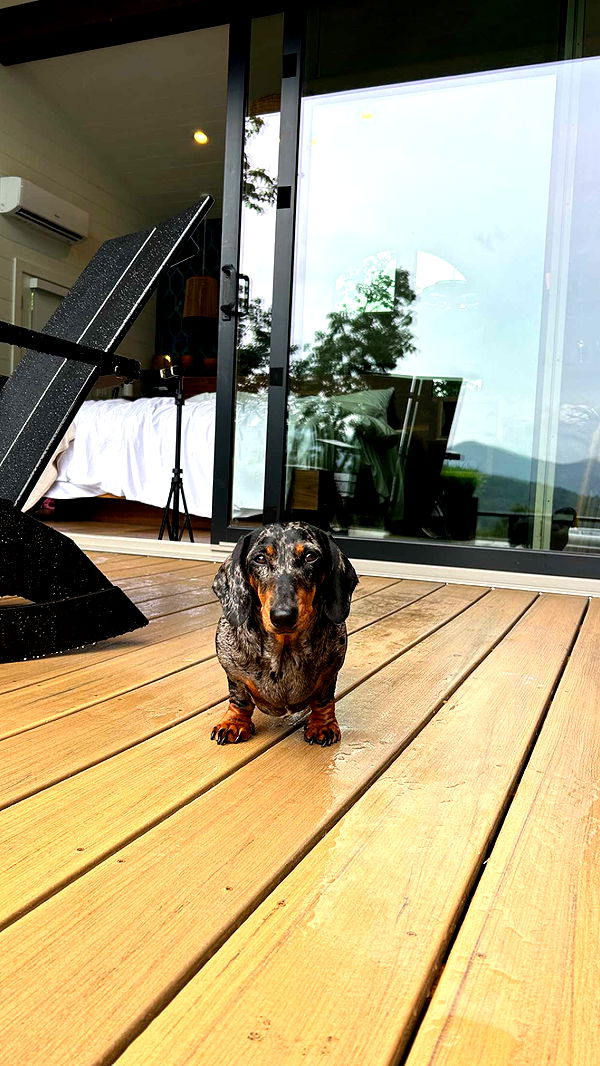 mckinley_1 image ~ Altpins