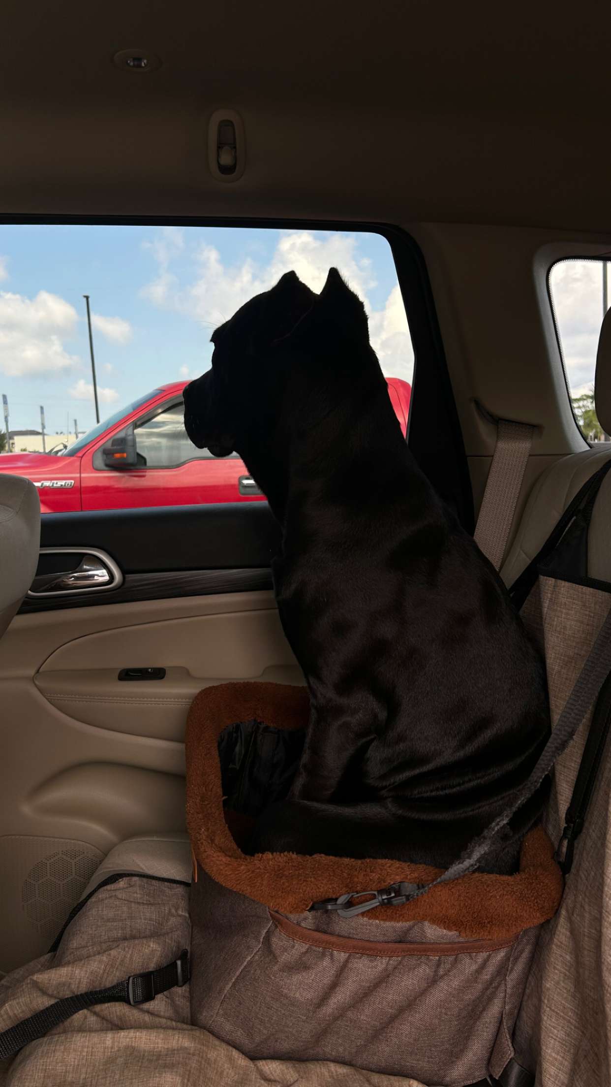 mckinley_1 snapchat image archive image