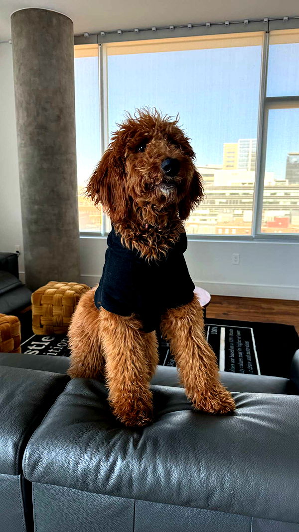 mckinley_1 image ~ Altpins