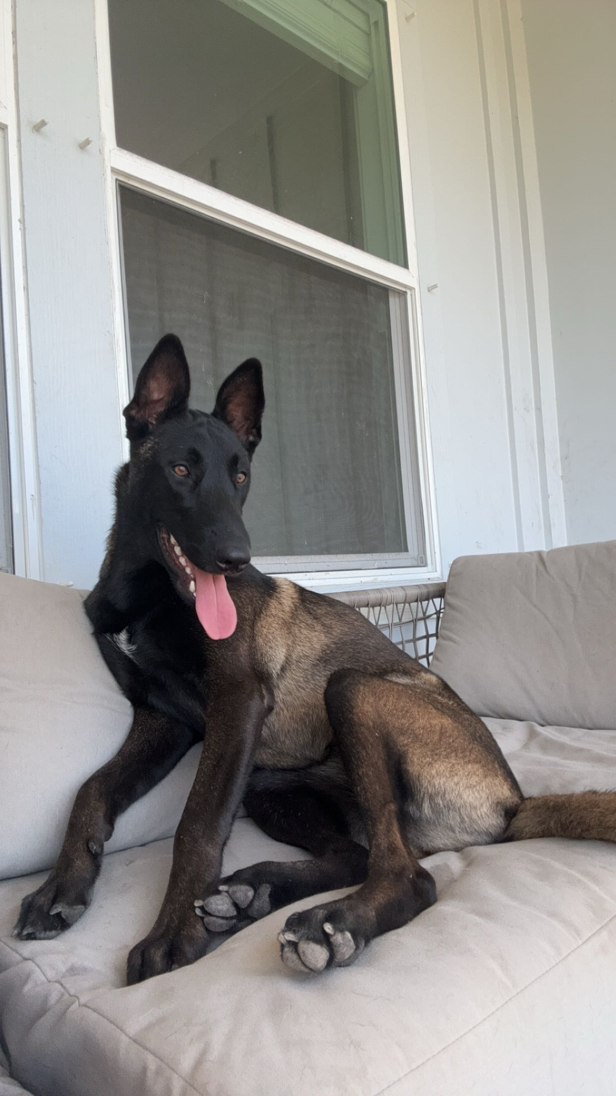 mckinley_1 snapchat image archive image