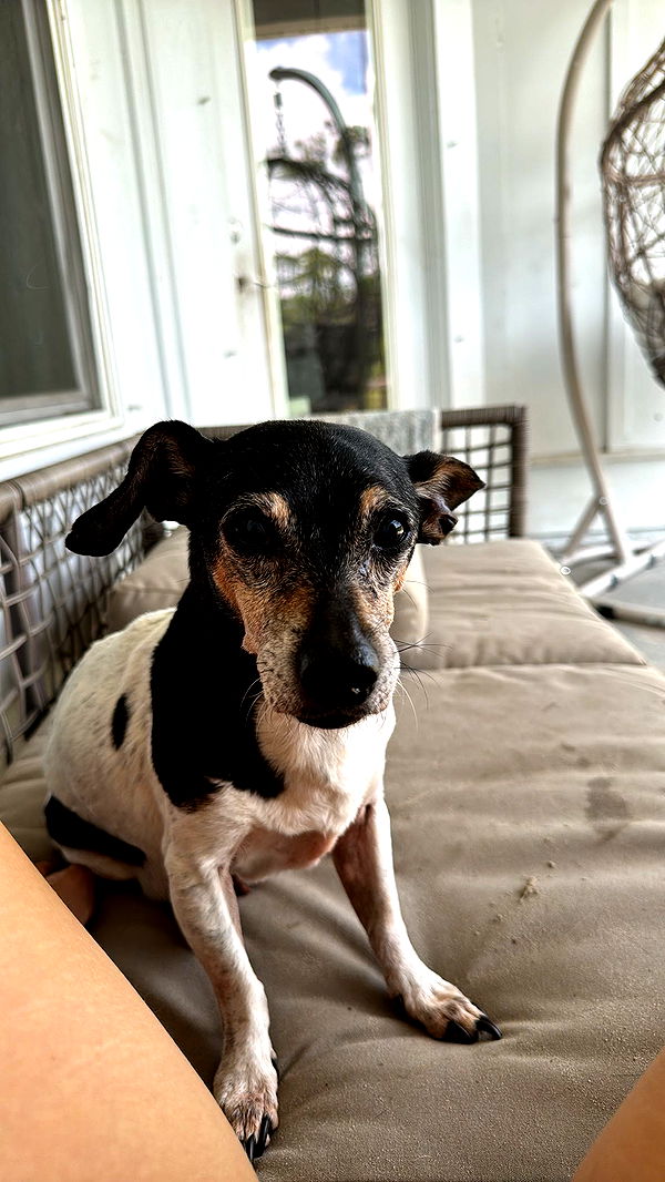 mckinley_1 image ~ Altpins