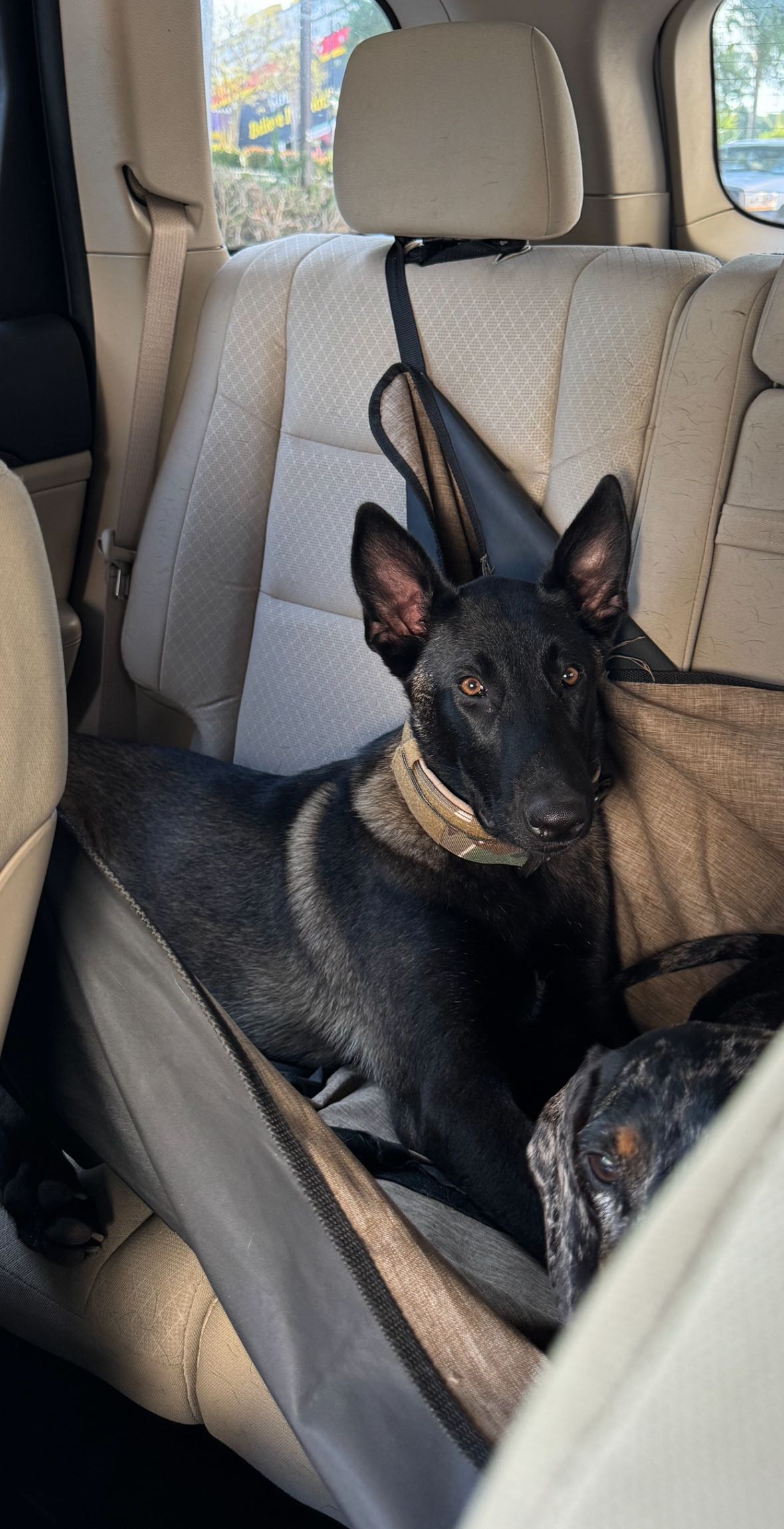 mckinley_1 snapchat image archive image