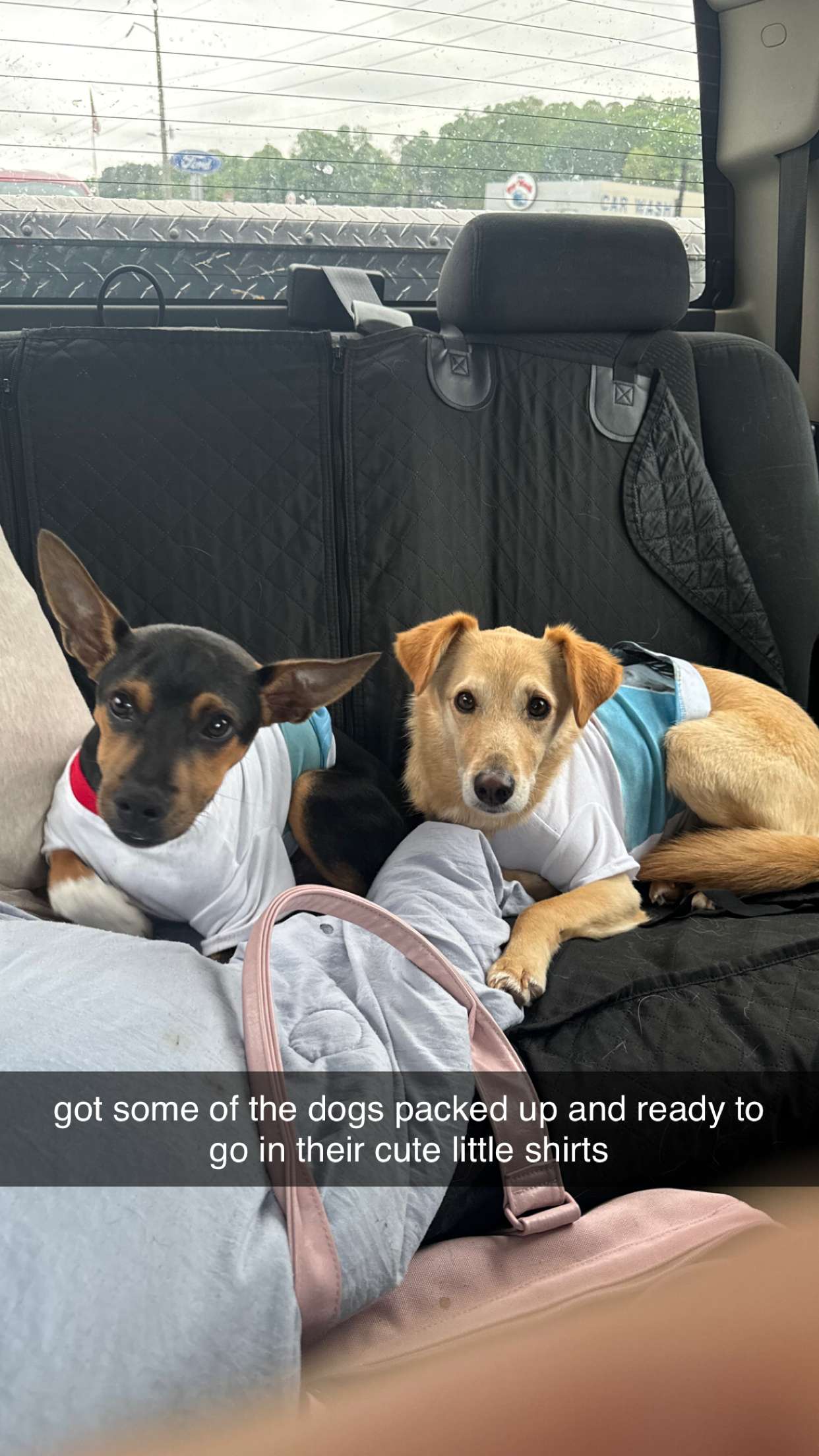 mckinley_1 snapchat image archive image