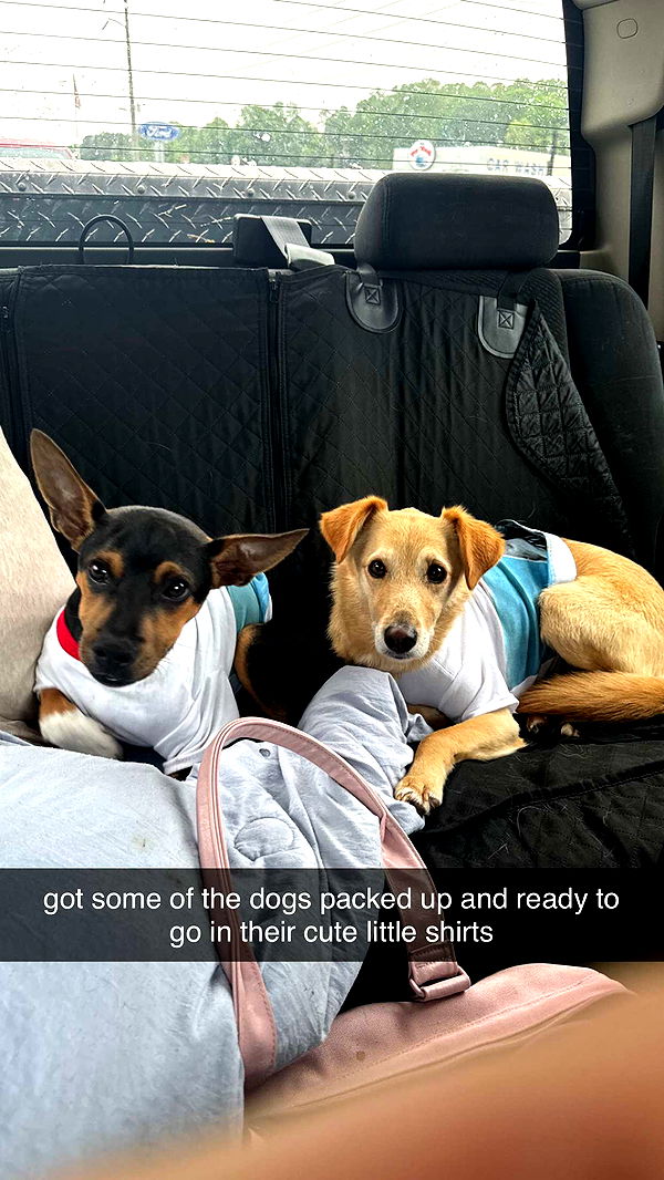 mckinley_1 image ~ Altpins