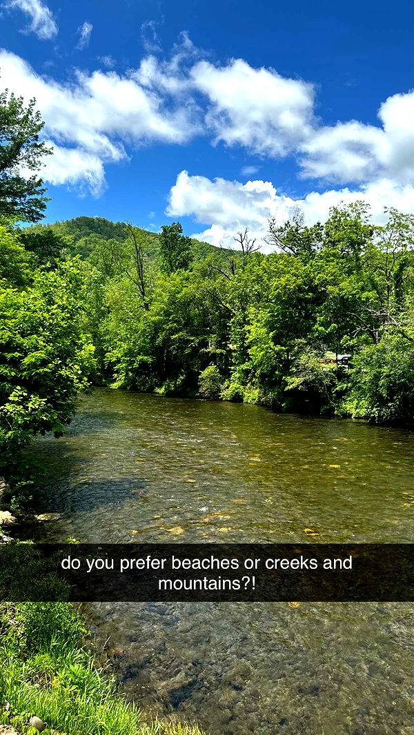 mckinley_1 image ~ Altpins