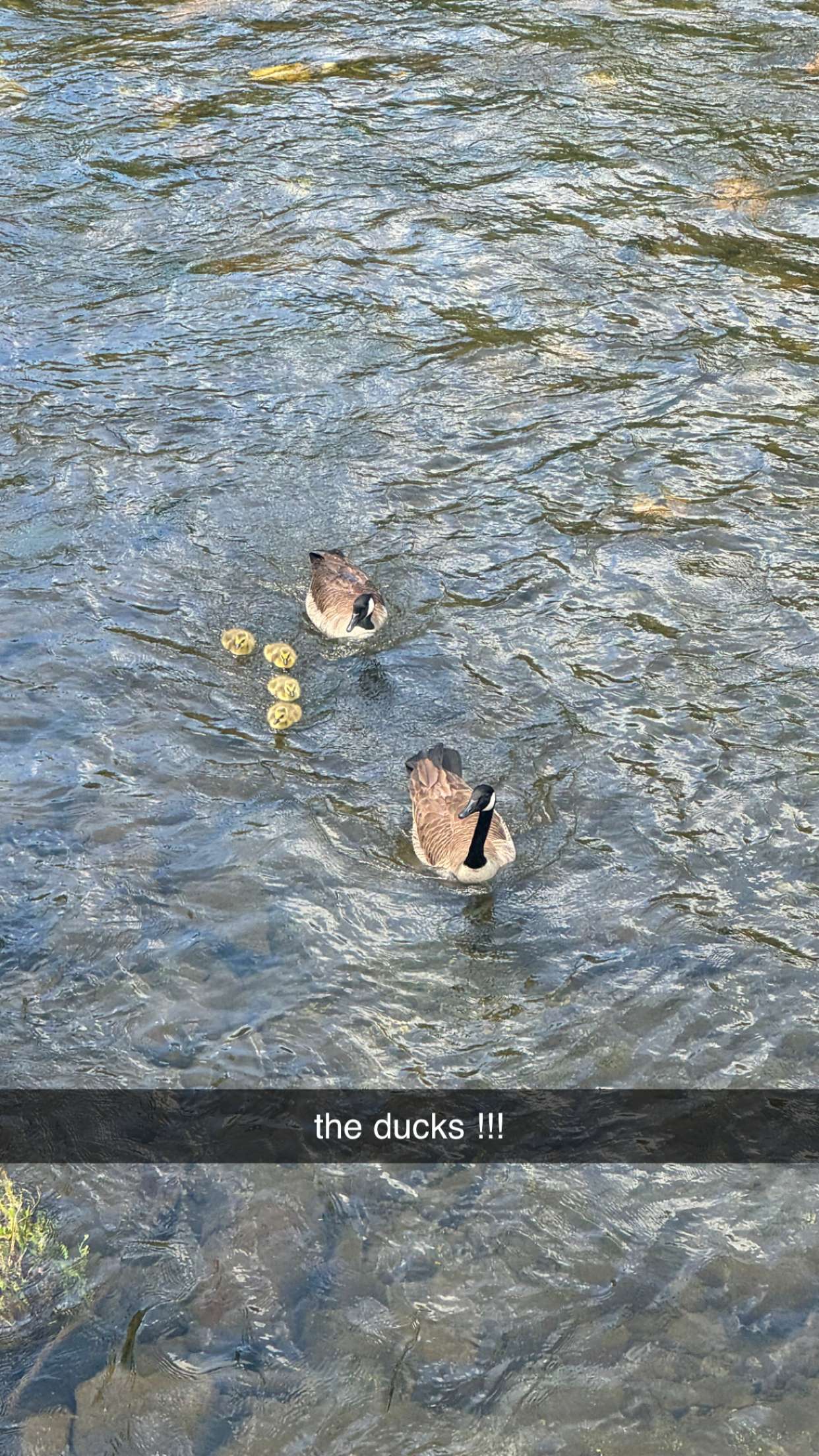 mckinley_1 snapchat image archive image