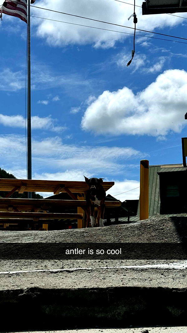 mckinley_1 image ~ Altpins