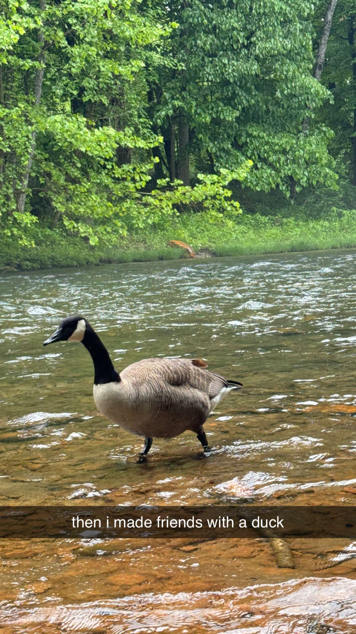 mckinley_1 snapchat image archive image