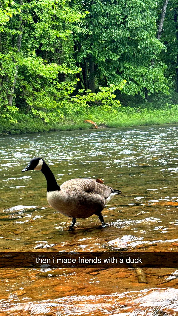 mckinley_1 image ~ Altpins