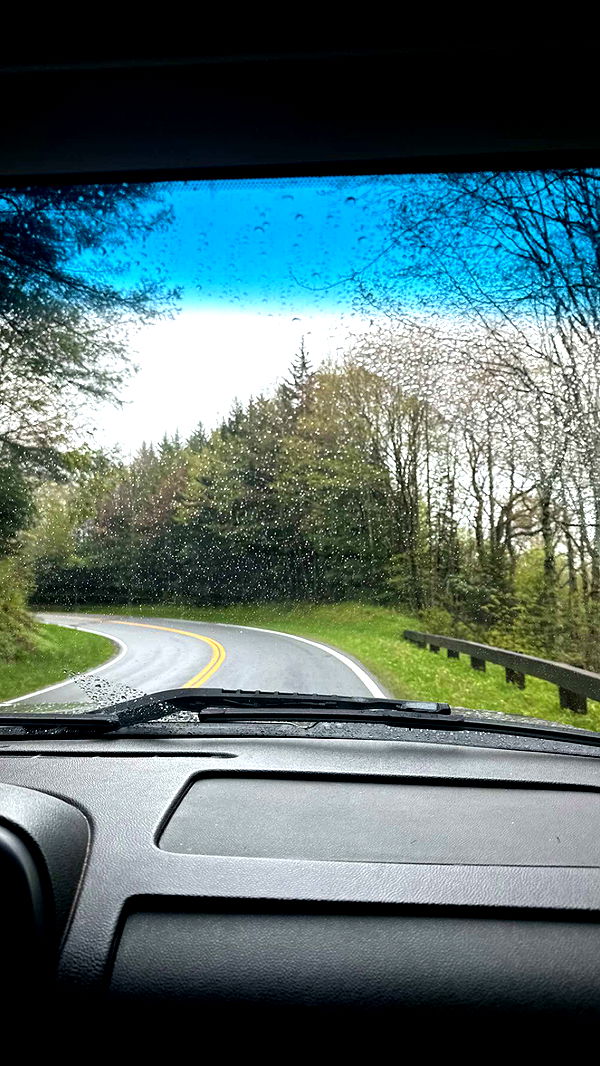 mckinley_1 image ~ Altpins