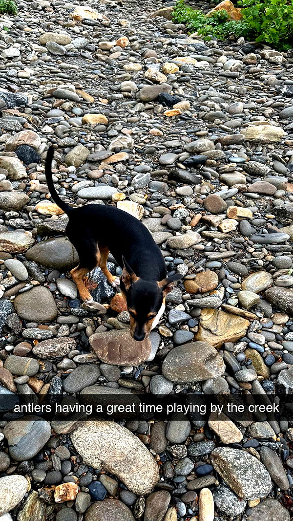 mckinley_1 image ~ Altpins