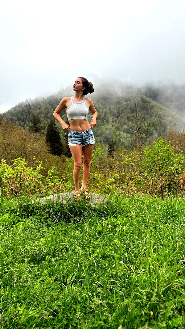 mckinley_1 image ~ Altpins