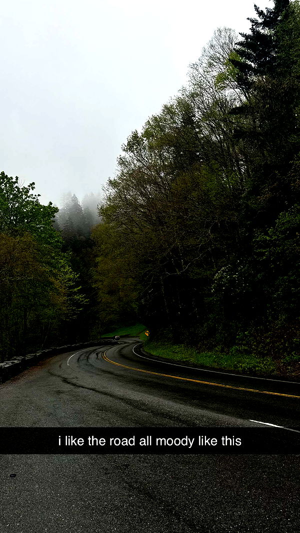 mckinley_1 image ~ Altpins