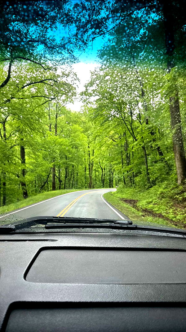 mckinley_1 image ~ Altpins