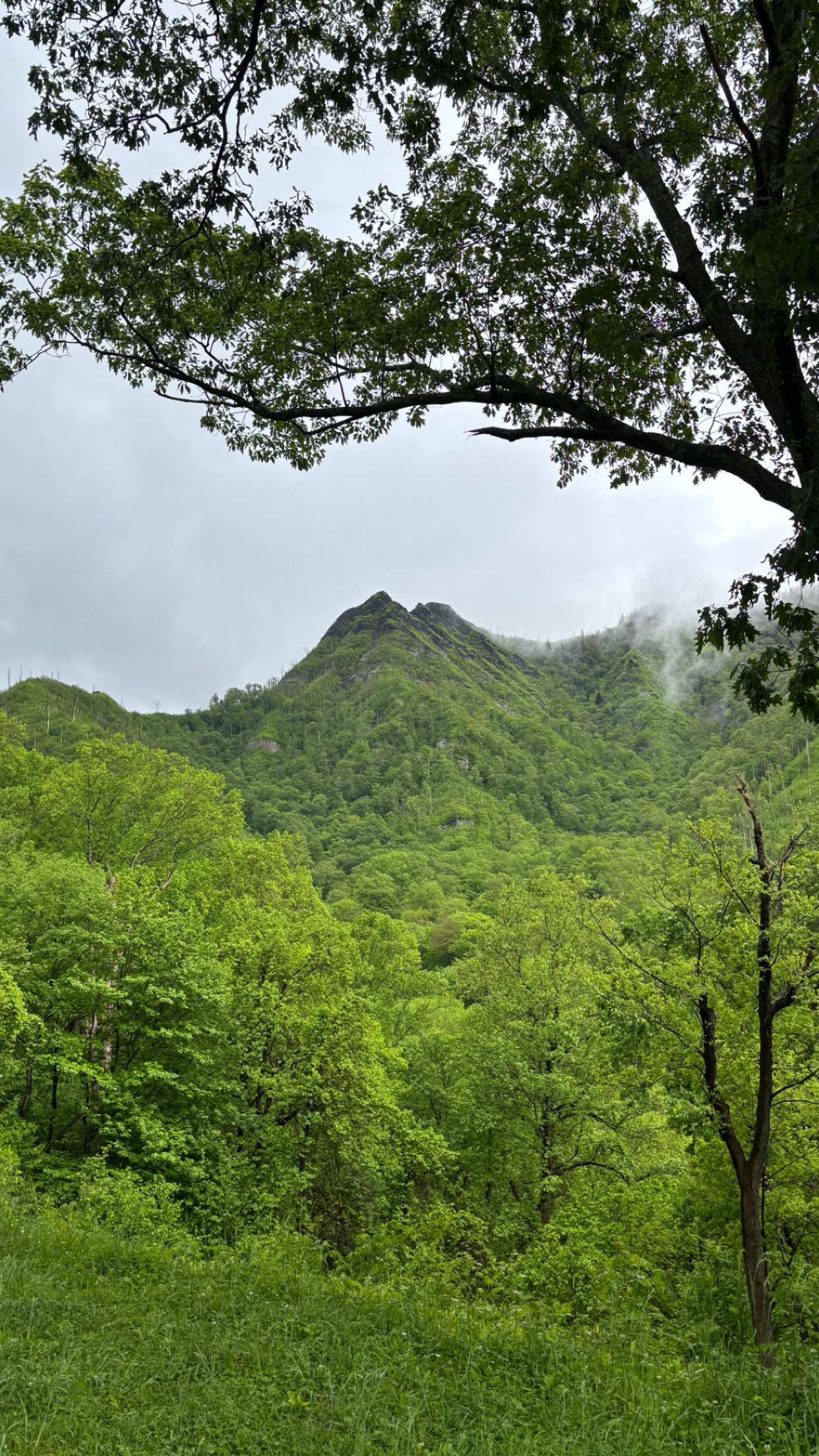 mckinley_1 snapchat image archive image