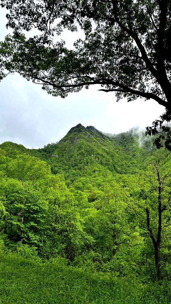 mckinley_1 image ~ Altpins